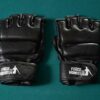 Kit MMA F&H – Image 2